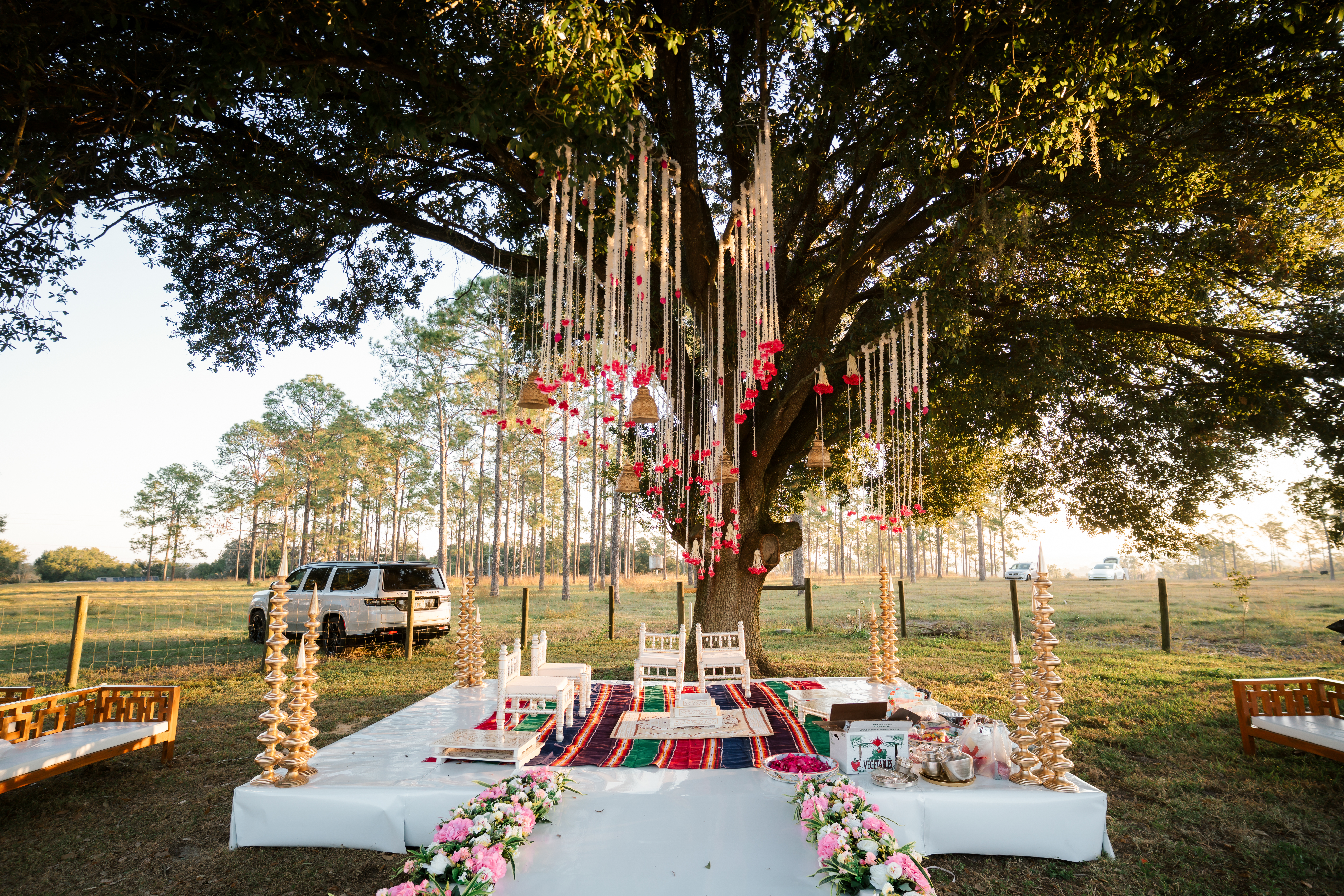 Table Setting